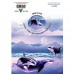 STEVE SUNDRAM GREETING CARD Orcas in Alaska